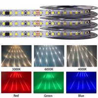 Ruban LED flexible 10M 24V pour course de chevaux, 120 LED/m, PCB 8mm en cuivre, USB, lumière du jour