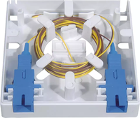 Boîtier de terminaison fibre optique FTTH Type 2 à 2 cœurs, panneau de distribution intérieur avec adaptateur SC, plaque frontale de sortie, panneau de télécommunications blanc