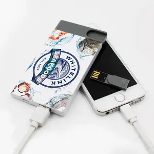 사용자 정의 색상 빠른 충전 2 in 1 이중 기능 2500Mah 휴대용 파워 뱅크 USB 플래시 드라이브