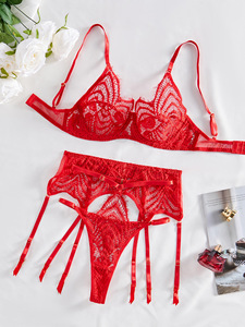 Nouvelle collection de lingerie sexy pour femmes, dentelle brodée, maille ajourée, effet amincissant, ensemble trois pièces - Product Image 6