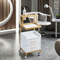 Chariot de salon commercial moderne de haute qualité en métal, chariot à outils de beauté pour atelier en vente de liquidation