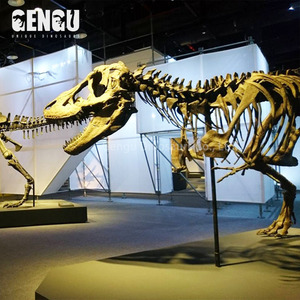 Réplique de squelette de dinosaure en fibre de verre OEM |   Modèle d'os scientifiquement précis à l'échelle réelle pour musée d'histoire <span class=keywords><strong>naturelle</strong></span> - Product Image 4
