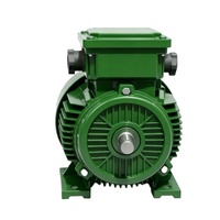 Motor AC Berkualitas Tinggi Teco Electric 11kw 15kw 22kw 30kw 45kw 55kw 75kw Motor Listrik Asinkron 380v Motor Teco