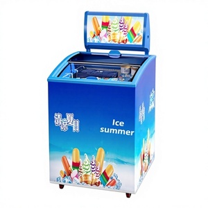 Congelador Dongzhifaili con Puerta de Vidrio Transparente, Refrigerador Comercial Pequeño, Vitrina Exhibidora para Helados y Frutos Secos, 129L - Product Image 1