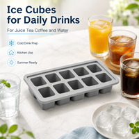 Molde de silicona para hielo de 10 cavidades para café, jugo, té, servicio de bebidas frías en bares - Colección de temporada