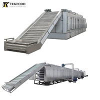 TEKFOOD Hout Biomassa Verwarming Hetelucht Fruitdroger Houtskoolverwarming Hetelucht Meshbanddroger voor Fruit en Groenten