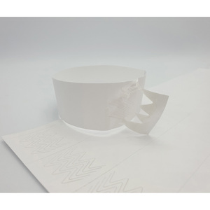 แผ่นไทเวคสำหรับพิมพ์ด้วยเลเซอร์ [AnyWristband] ขนาด 25 มม. (1 นิ้ว) แผ่นไทเวคทนความร้อนต่ำสำหรับการพิมพ์ที่อุณหภูมิต่ำ - Product Image 2