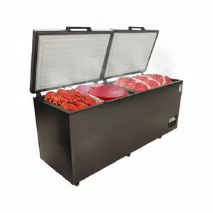 Congélateur coffre grande capacité pour crème glacée, homard, thon – Idéal pour usage commercial et domestique - Product Image 5