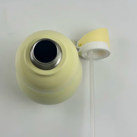 Bouteille d'eau sport en forme de gourde, inspirée du style rétro chinois, anti-fuite, réutilisable, portable, avec poignée et paille