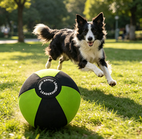 Ballon en nylon imperméable de 10 à 40 pouces pour chiens, chats, chevaux, entraînement en plein air et activités de jeu, ballon interactif pour le dressage