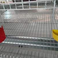 Nouvelle cage d'élevage de cailles automatique de haute qualité de type H avec fil galvanisé et élimination automatique du fumier