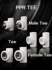 <span class=keywords><strong>PPR</strong></span> qua bộ sưu tập Sản phẩm nhựa bao gồm mũ khớp nối khuỷu tay mặt bích phích cắm <span class=keywords><strong>Adapter</strong></span> núm vú Tees Ổ Cắm Công Đoàn OEM - Product Image 5