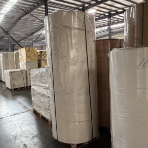 โรงงานขายส่งม้วนกระดาษด้านเดียว 170-320 แกรม วัสดุกันน้ำสำหรับทำฐานถ้วยกระดาษแบบใช้แล้วทิ้ง - Product Image 5