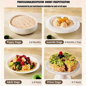 Pembuat Makanan Hewan Peliharaan Otomatis Listrik Baru <span class=keywords><strong>2026</strong></span>, Dapat Disesuaikan, Bergaya, Portabel, Tahan Lama - Blender Makanan Anjing Kucing Isi Ulang dari Baja Anti Karat - Product Image 5