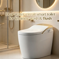 Toilette intelligente domestique avec double système de lavage bidet, étanche IPX4, plusieurs couleurs au choix, pour appartement et usage résidentiel