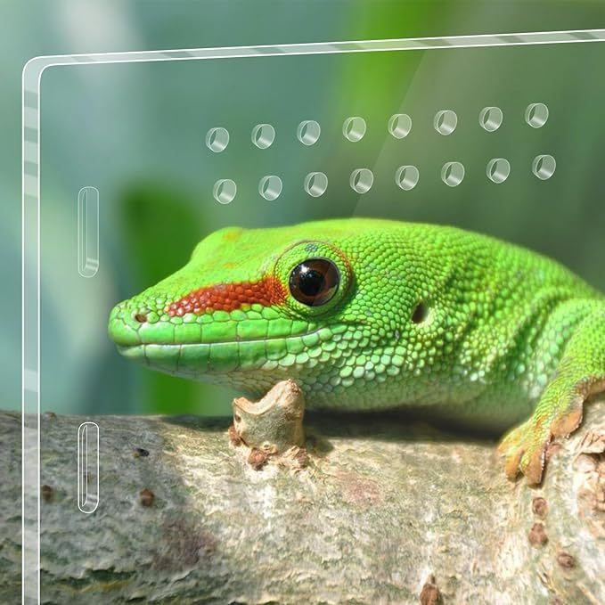 Habitat Trasparente Per Tartarughe E Rettili, Con Zona Terra E Palco Per Anfibi, Pesci E Piccoli Animali, Ideale Per Terrario Domestico
