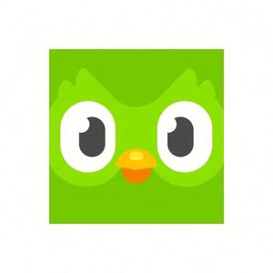 Cuenta Premium Duolingo Pro 1 Año, Activa Tu Propia Cuenta, Aplicable Globalmente en Todo el Mundo - Product Image 3
