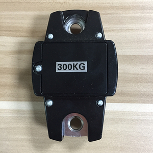 Báscula Digital Colgante para Grúa de 300 kg Personalizable con Soporte OEM, Báscula Portátil para Grúa 152 - Product Image 3
