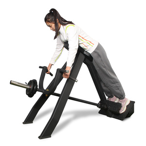 Máquina de <span class=keywords><strong>Remo</strong></span> con Placas de Peso, Máquina de <span class=keywords><strong>Remo</strong></span> en T, Equipo de Gimnasio Comercial, Fabricación China - Product Image 2