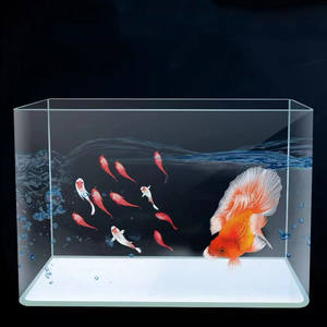 Hete Aanbieding Eco-vriendelijke Gebogen Glazen Cilinder Aquarium Visbak Sets met LED Verlichting Op Maat Gemaakt Moderne Boogfront Design - Product Image 5