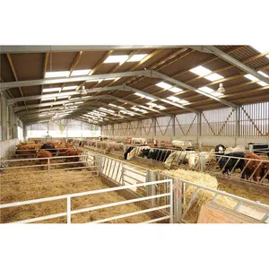 China Prefabricated Cowshed/Cattle Farm Building Steel Structure Construction materials
