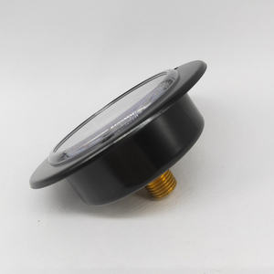 Manómetro de Presión Axial Hoda Y-60ZT de 60 mm, Rosca Pt1/4, Tipo Panel - Product Image 1