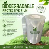 Film de protection biodégradable durable en rouleau, matériau sûr, film de protection de surface facile à décoller