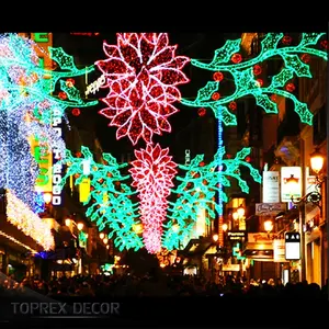 Toprex Featured Products outdoor waterproof decorative street motif led decoration christmas lights
