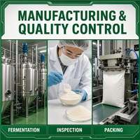 Gomme xanthane en poudre de qualité alimentaire, épaississant et stabilisant pour sauces et boissons, en vrac, en stock dans l'entrepôt américain