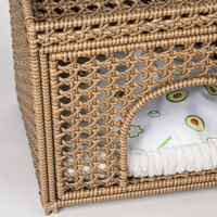 Villa pour chat tressée à la main YAOYUE avec entrée arquée, coussin amovible imprimé avocat, rotin PE kaki et acier carbone 52,5x47x49cm