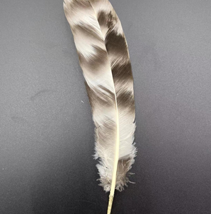 Plumas de <span class=keywords><strong>Pollo</strong></span> Naturales de 15-20 cm con Caña, Azules y Blancas, Plumas de <span class=keywords><strong>Pollo</strong></span> Salvaje, Accesorios Decorativos para Manualidades - Product Image 3