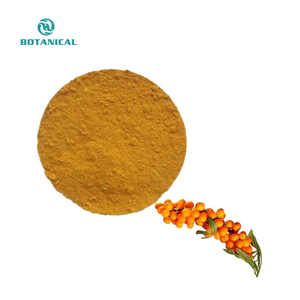 Poudre lyophilisée de poudre de fruit d'argousier de vente chaude - Product Image 3