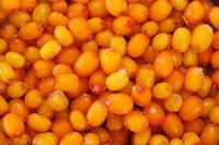 Fruits surgelés LQF en gros, 10 kg, 2-4,5 cm, Argousier surgelé