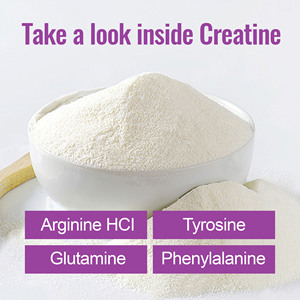 Poudre de créatine OEM ODM avec créatine monohydrate et acides aminés pour la croissance musculaire, le renforcement et la nutrition sportive - Product Image 6