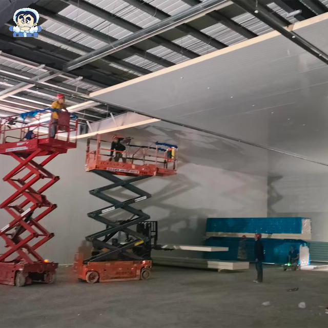 Eco-Friendly Fireproof Metal PUR EPS Sandwich Panels, Thermal Insulated Wall Roof Panels for Cold Storage Warehouse Building