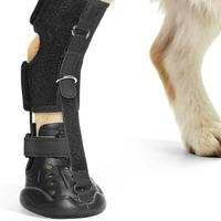 Attelle de cheville réglable pour chien avec semelle antidérapante, protecteur d'articulation de la cheville canine pour soulager l'arthrite et corriger la marche