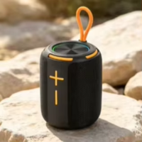 Enceinte portable SODLK TX16 20W BT 5.3, étanche IPX4, avec cordon, prise en charge TWS, TF, USB, audio sans perte, basses profondes, pour extérieur