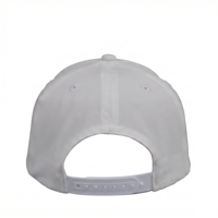 Casquettes de baseball unisexes légères et sportives personnalisables en toile, style streetwear, avec logo monochrome, vente en gros