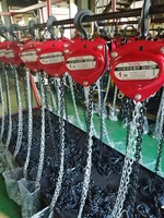 Palan manuel à chaîne Hsz, capacité de 250 kg, palan électrique, outil de levage manuel, 1 tonne