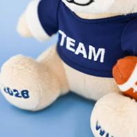 Porte-clés en peluche personnalisé Anoeo, mascotte ours sportif, jouet en polyester, mini poupée mignonne de dessin animé, breloque de sac de fête, vente en gros
