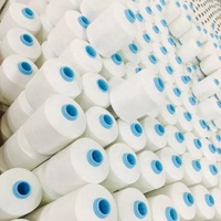 Fil à coudre en nylon 66 haute résistance, très vendu, disponible en diverses options d'emballage, pour usage textile