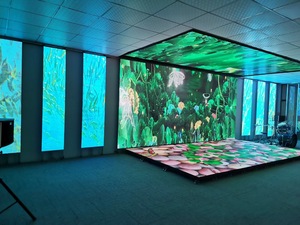 Pantalla 3X2 Metros para exteriores, Panel de suelo Virtual Led Hd 6X3 Hd 3D, Pantalla de vídeo de pared Led, P3.91 P 3, 50x50 - Product Image 5
