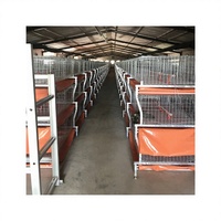 Cage automatique pour poulets de chair Yuanbao en forme de H Conception durable et peu encombrante pour une production de viande efficace