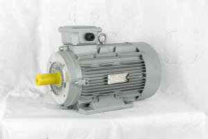 เครื่องกำเนิดไฟฟ้ากระแสสลับแบบอะซิงโครนัสสามเฟส YE2-90L-4 1.5 กิโลวัตต์ 2 แรงม้า 1460 รอบต่อนาที มอเตอร์เหนี่ยวนำไฟฟ้าสามเฟส - Product Image 5