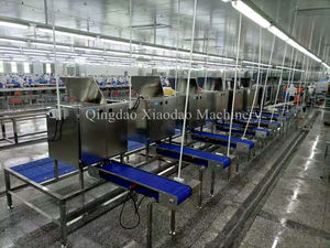 เครื่องทำความสะอาด<span class=keywords><strong>สาย</strong></span>การผลิตกุ้งแดงแบบอัตโนมัติของอาร์เจนติน่า - Product Image 3