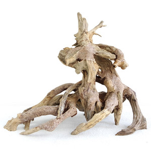 Cây cảnh <span class=keywords><strong>bonsai</strong></span> gỗ lũa trong bể cá lớn - Product Image 4