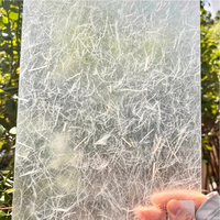 Panneau en résine PETG effet craquelé translucide pour la décoration de cloisons intérieures