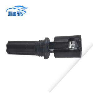 Paquetes de bobinas de encendido para <span class=keywords><strong>JAGUAR</strong></span> <span class=keywords><strong>S</strong></span>-<span class=keywords><strong>Type</strong></span> XJ X-<span class=keywords><strong>Type</strong></span> LINCOLN LS 2,5 3,0 <span class=keywords><strong>V6</strong></span> DG528 DG517 C2S42751 XR814052 2W4Z-12029-AB 1W4Z-12029-AA - Product Image 1