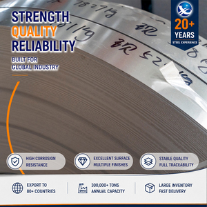 Bead Blasted 0.5mm x 1219mm Master Tension Leveled AISI Stainless Steel <b>Strip</b> with Uniform Thickness - Product Image 1