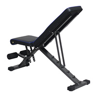Banc de musculation en métal durable de style nouveau, design pliable, capacité de 120 kg, machine d'exercice abdominale, résistant à la saleté, couleur personnalisée